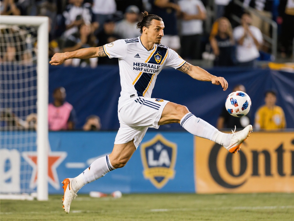 也尽量规避 也尽量规避