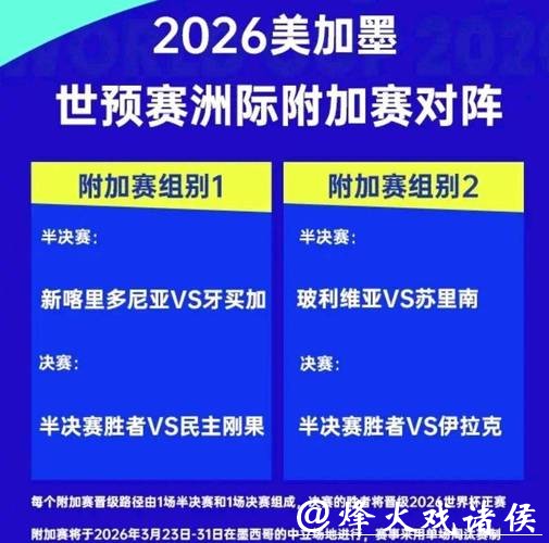 2026世界杯投注：经典投注案例分析与总结
