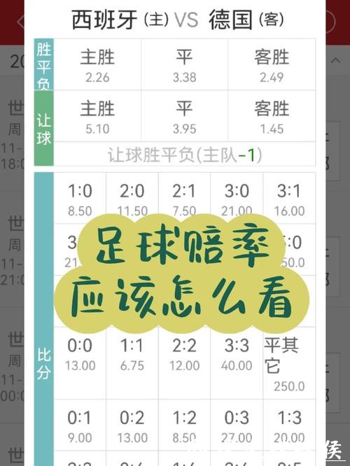 世界杯竞猜官网：全面解析投注策略与赔率
